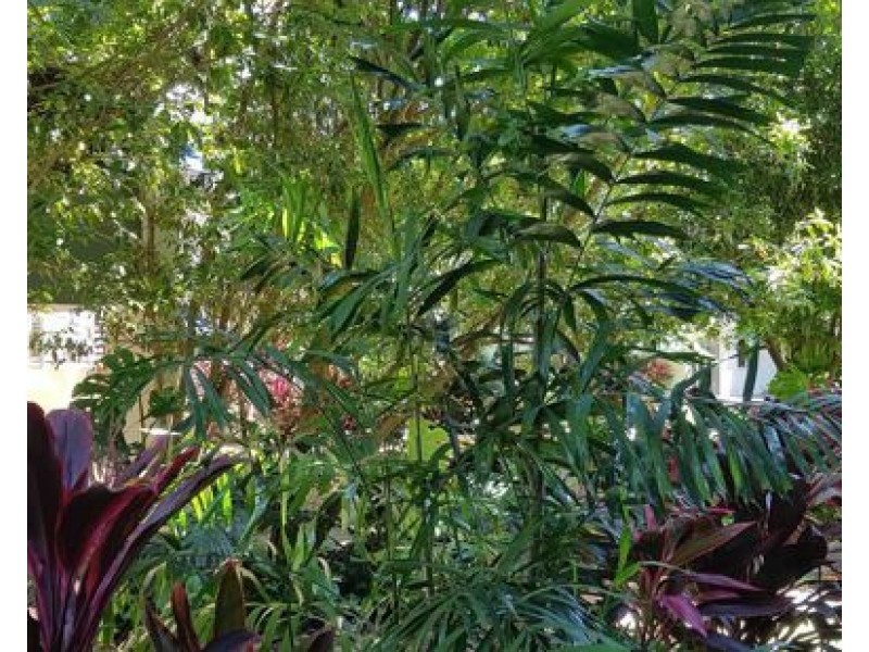 Block 4 40 Clifton Road, Clifton Beach QLD 4879