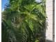 8 83-85 Moore Street, Trinity Beach QLD 4879