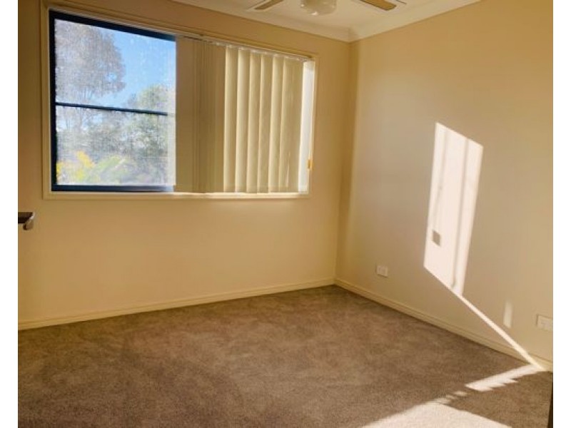 41/2 Studio Drive, Pacific Pines QLD 4211