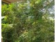 Bldg D 2-8 Rigg St, Woree QLD 4868