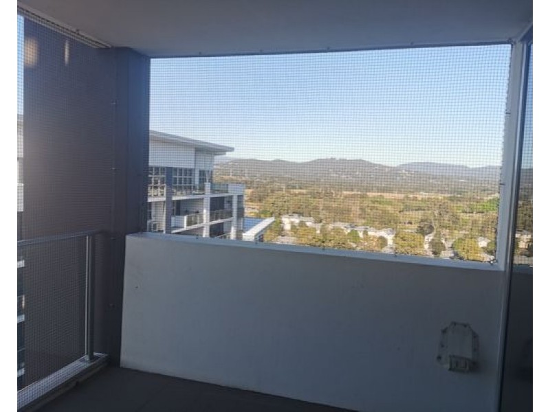 31108 42 laver drive robina qld 4226, Robina QLD 4226