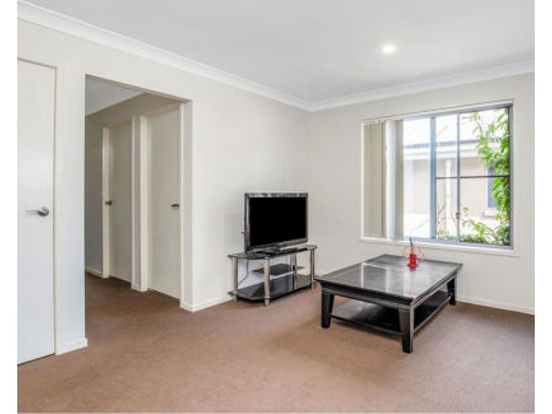 29 SYNERGY DRIVE, COOMERA, Coomera QLD 4209