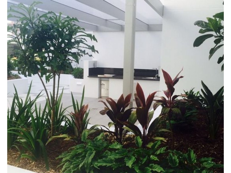 4313 1-7 Waterford Court, Bundall,QLD 4217, Bundall QLD 4217