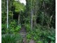 77 Leonard Street, Kewarra Beach QLD 4879