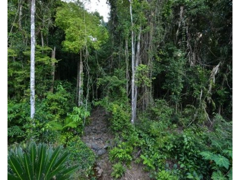 77 Leonard Street, Kewarra Beach QLD 4879