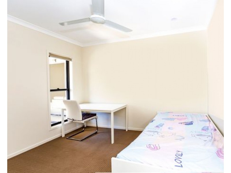 10 Rivina Cct, Coomera QLD 4209