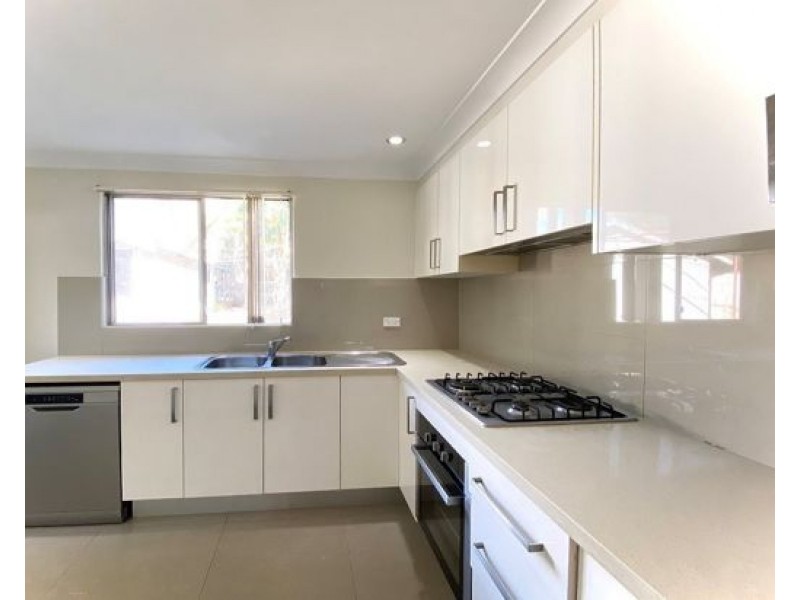 22 Wellesley St Summer Hill, Summer Hill NSW 2130