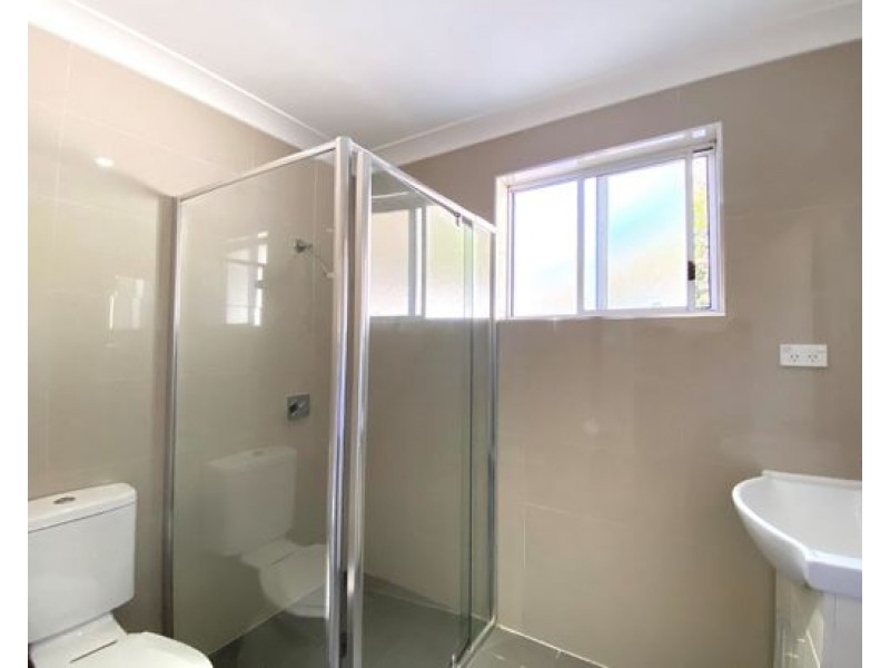 22 Wellesley St Summer Hill, Summer Hill NSW 2130