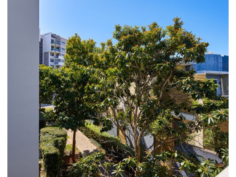 41 2 Arbour Ave, Robina QLD 4226