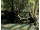 Lot 102 Two Chain Road, Koah QLD 4881