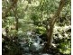 Lot 102 Two Chain Road, Koah QLD 4881