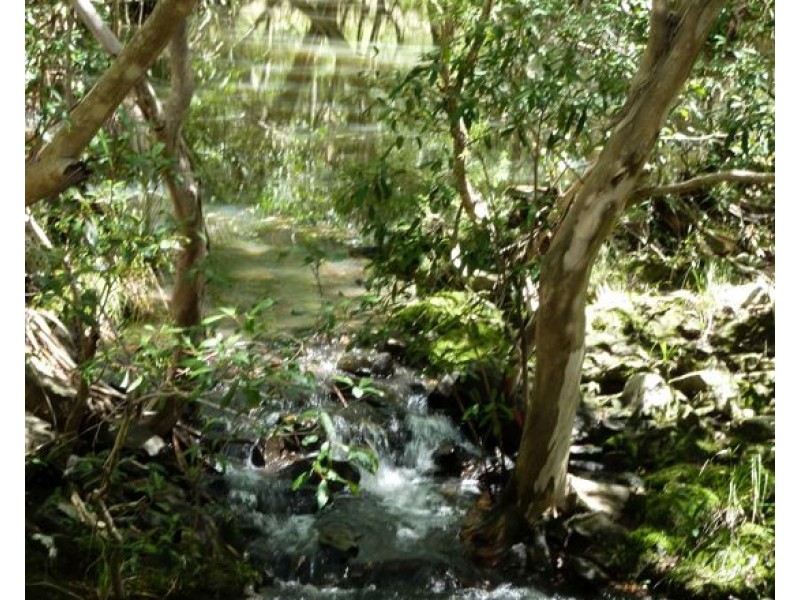 Lot 102 Two Chain Road, Koah QLD 4881