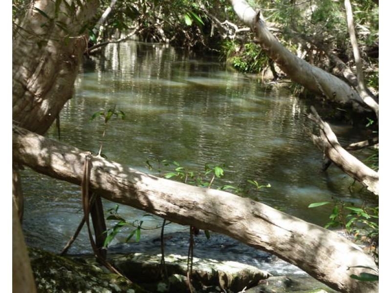 Lot 102 Two Chain Road, Koah QLD 4881