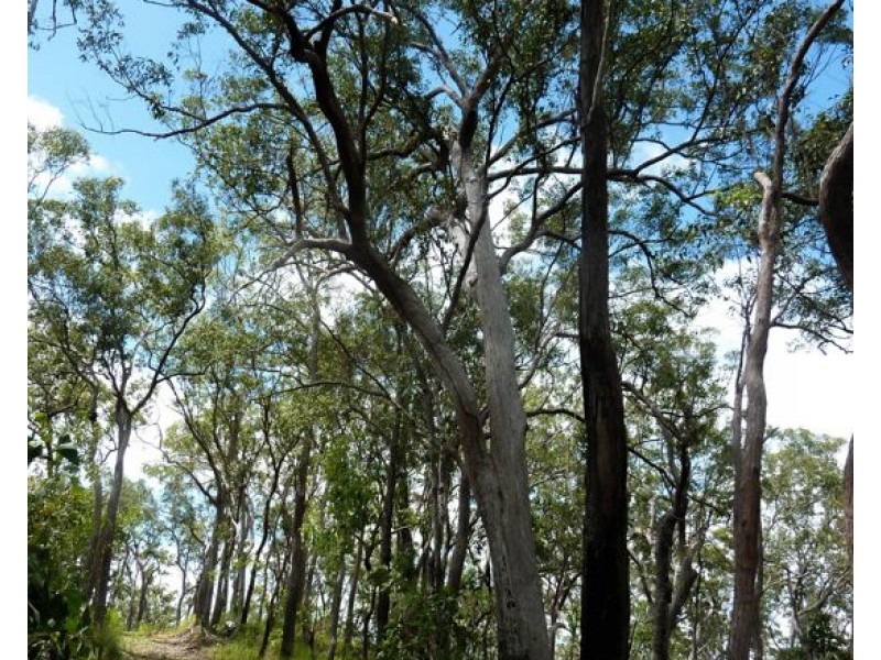 Lot 102 Two Chain Road, Koah QLD 4881