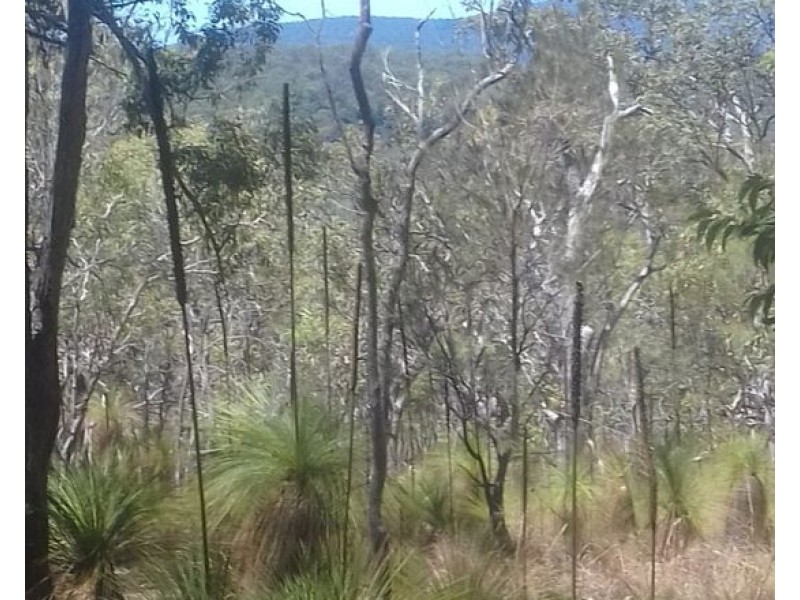 Lot 102 Two Chain Road, Koah QLD 4881