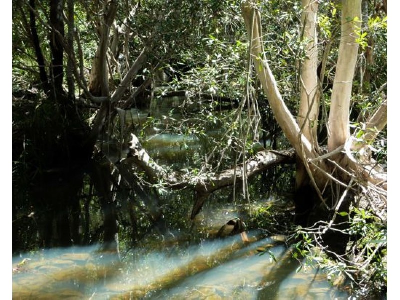 Lot 102 Two Chain Road, Koah QLD 4881