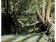 Lot 102 Two Chain Road, Koah QLD 4881