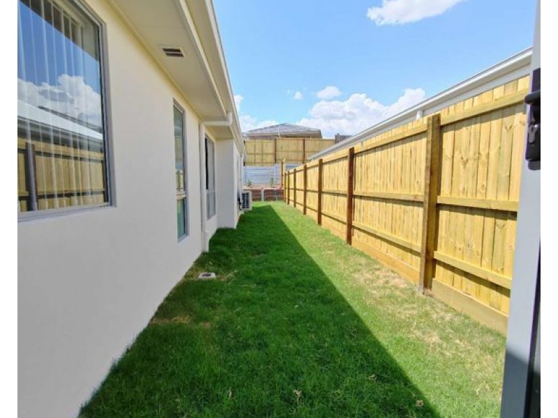 64 Tulip Tree Street, Park Ridge QLD 4125