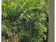 1604 40 Clifton Road, Clifton Beach QLD 4879
