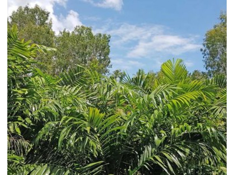 1604 40 Clifton Road, Clifton Beach QLD 4879