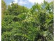 1604 40 Clifton Road, Clifton Beach QLD 4879