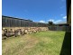165 Darlington Drive, Yarrabilba QLD 4207