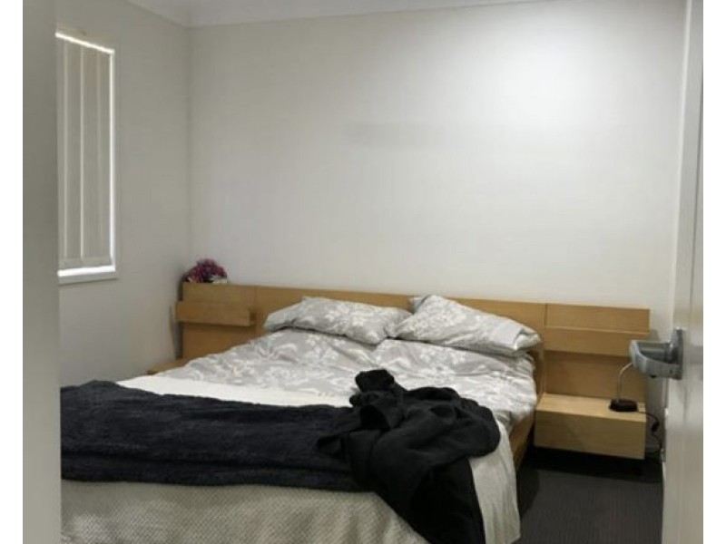 59 Greenwich Ave, Pimpama QLD 4209