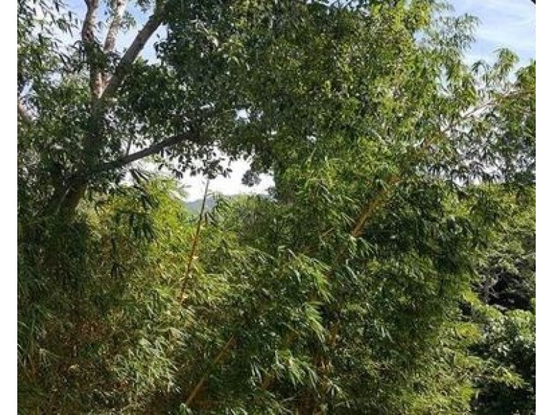 352 2-8 Rigg Street, Woree QLD 4868