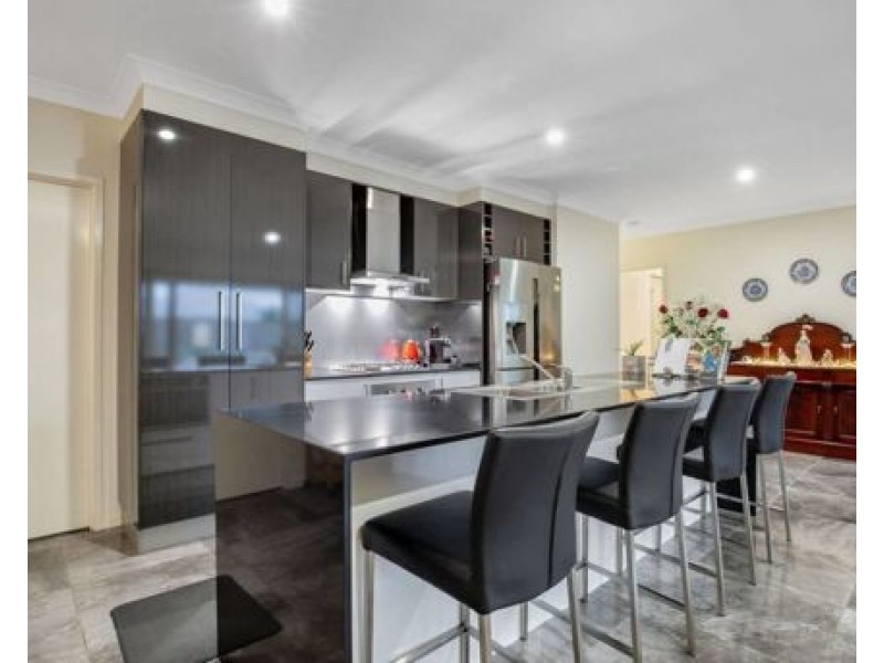 17 Carpenters Drive, Coomera QLD 4209