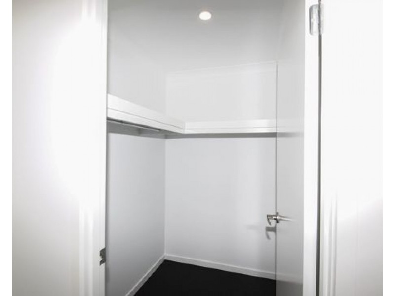 16 Harvard Street, Pimpama QLD 4209