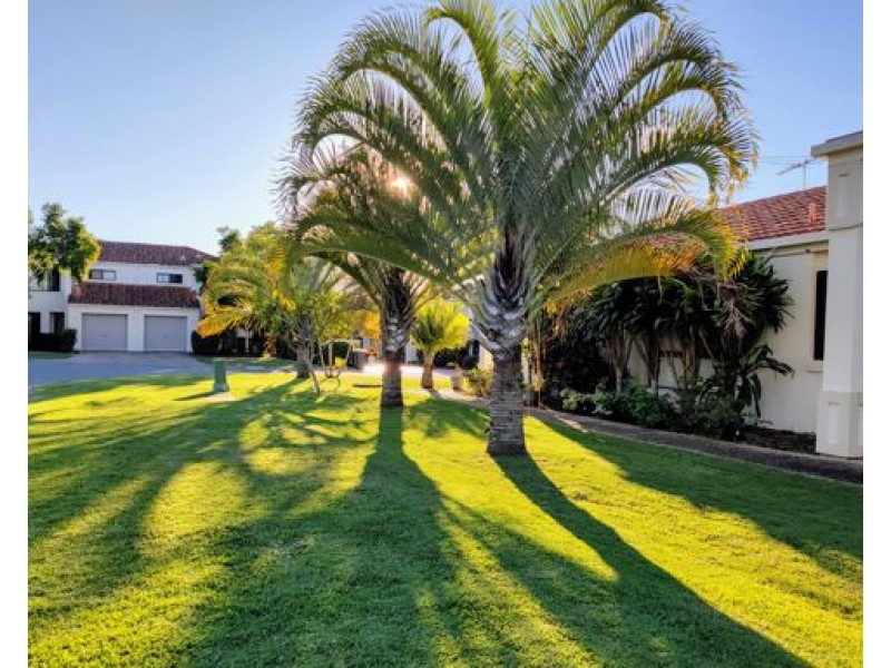 29/ 10 Diane Court, Calamvale QLD 4116