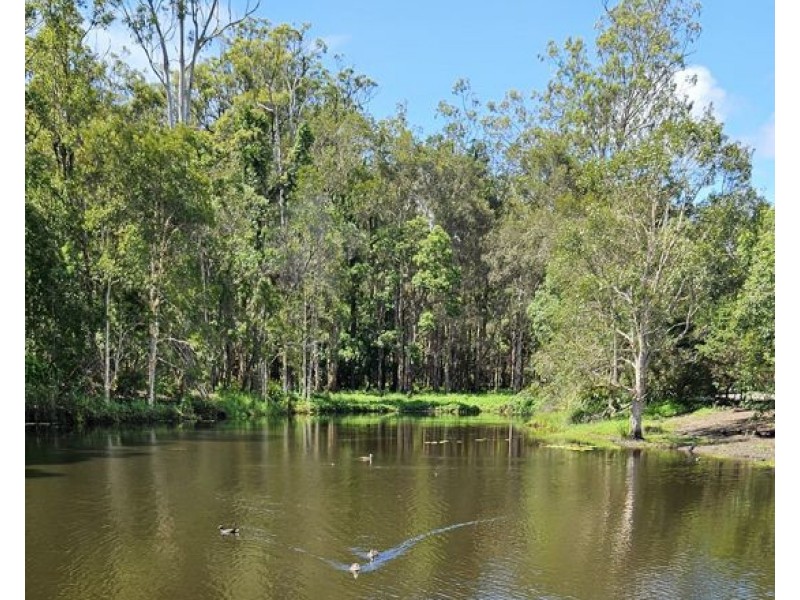 24 Bellagio Cres, Coomera QLD 4209