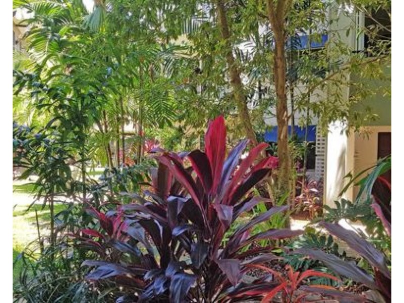 401 40 Clifton Road, Clifton Beach QLD 4879