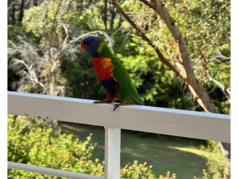 3/15 Blaxland Avenue, Newington NSW 2127