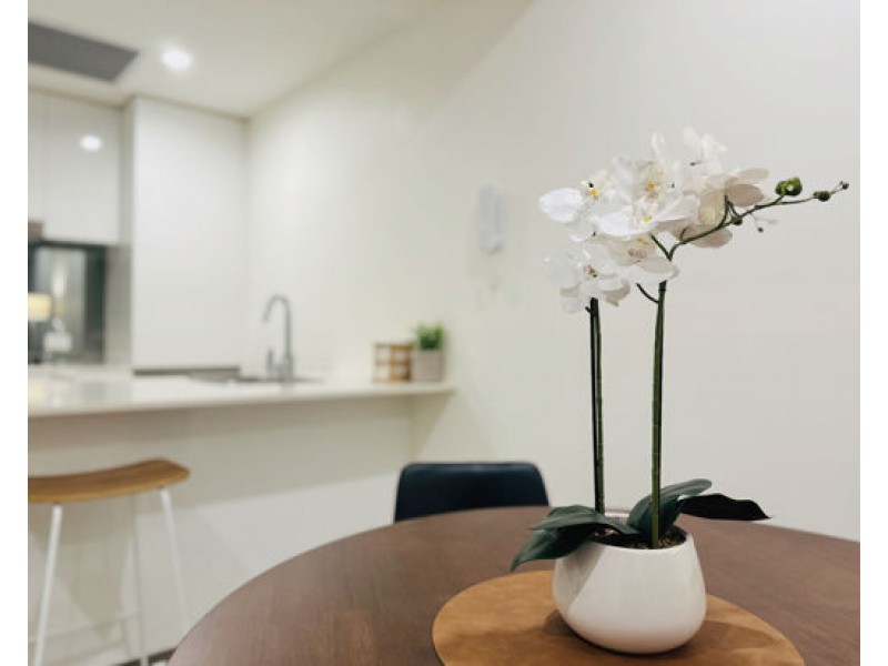 10408 88 Doggett St Newstead 4006, Newstead QLD 4006