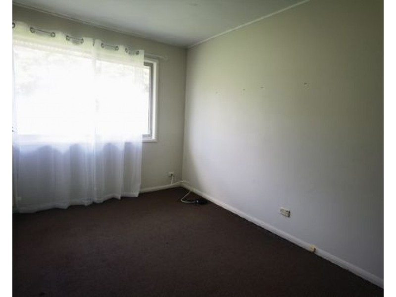 161 Fergen drive, Moorooka QLD 4105