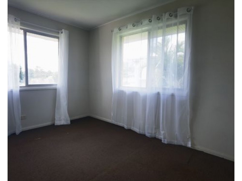 161 Fergen drive, Moorooka QLD 4105