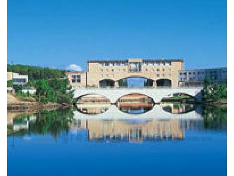 20/10 Ben Lexcen Place, Robina QLD 4226