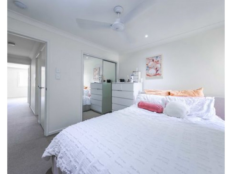 397 Trouts Road, Chermside West QLD 4032