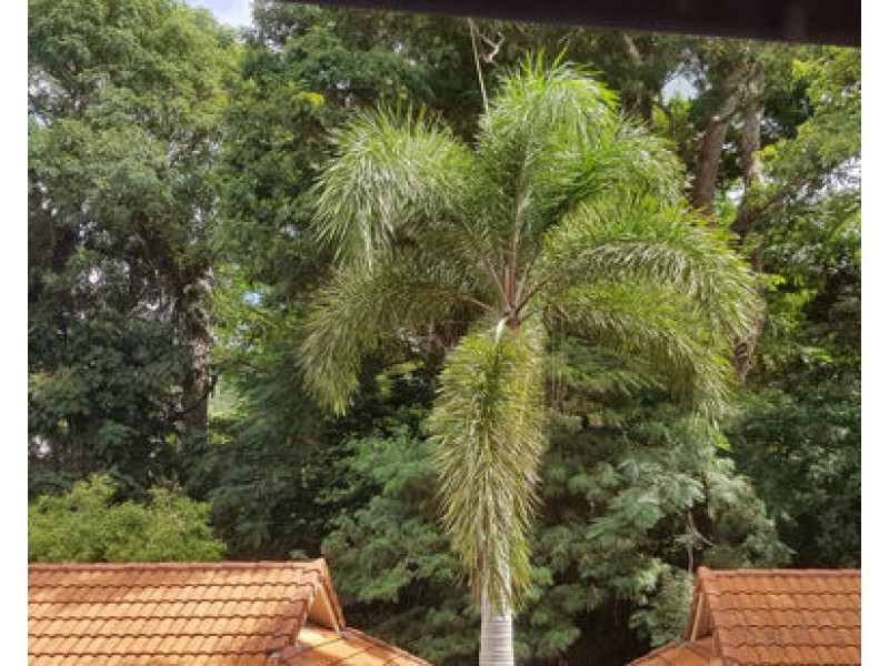 Block 14 40 Clifton Road, Clifton Beach QLD 4879