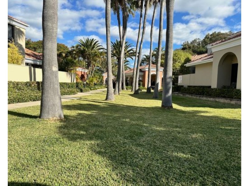 44/7 Elliott Street, Surfers Paradise QLD 4217