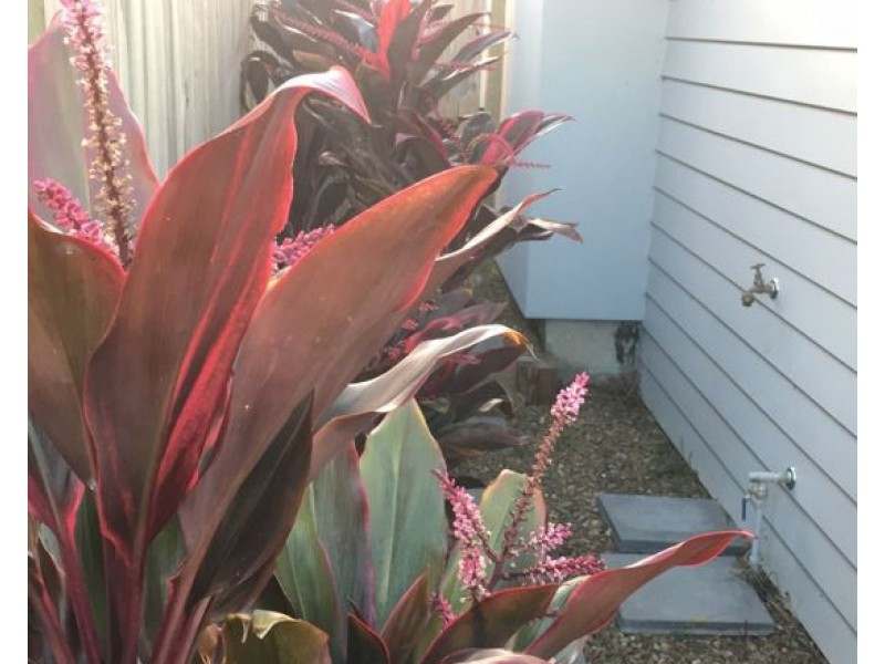 1/16 Dorchester Close, Pimpama QLD 4209