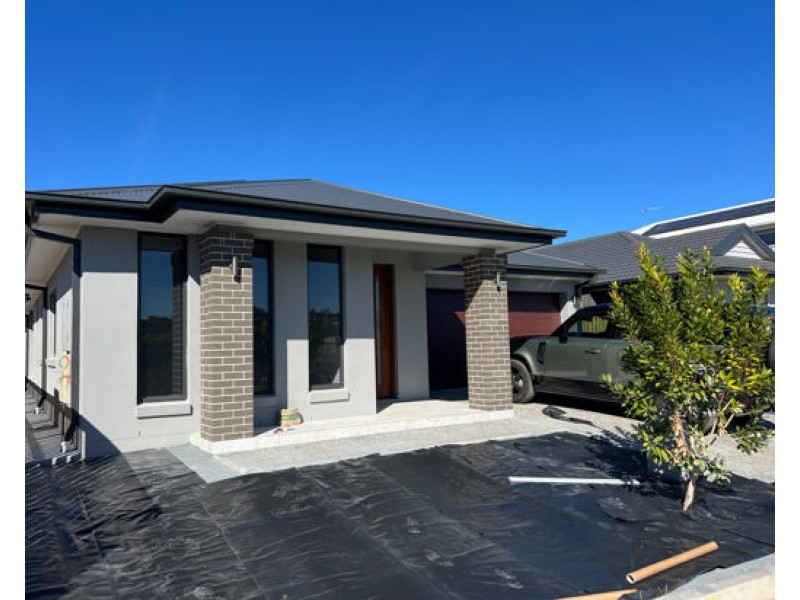 19 SHELL STREET, Nerang QLD 4211