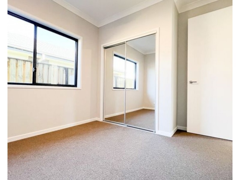 19 SHELL STREET, Nerang QLD 4211