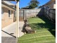 22 Hydrangea Street, Ormeau QLD 4208
