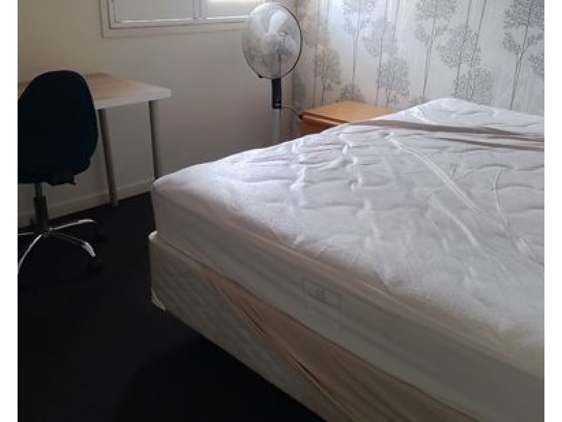 3 Mahogany Place, Molendinar QLD 4214