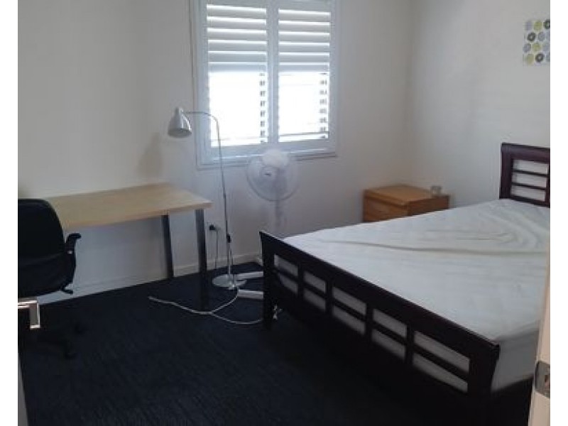 3 Mahogany Place, Molendinar QLD 4214