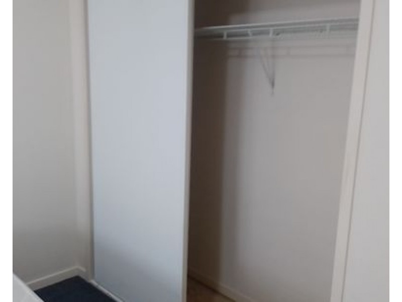 3 Mahogany Place, Molendinar QLD 4214