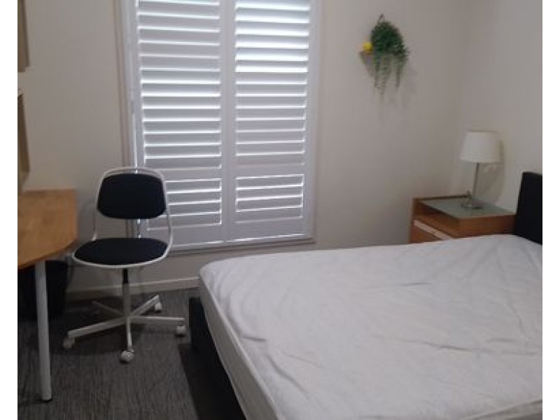 3 Mahogany Place, Molendinar QLD 4214