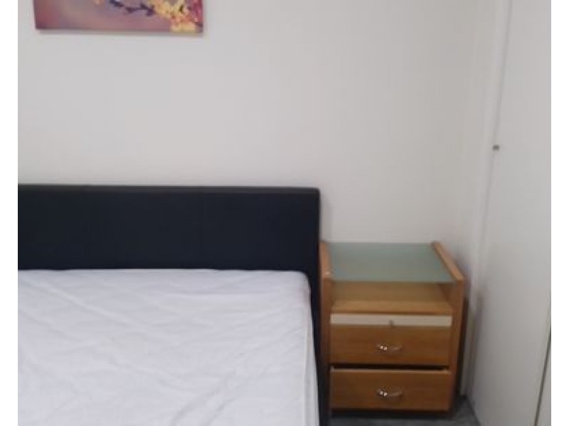 3 Mahogany Place, Molendinar QLD 4214